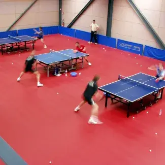 Taraflex Tennis de Table - Product Thumbnail