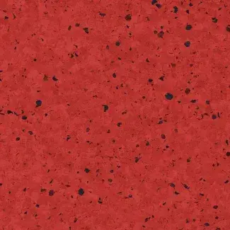 Acerola - scanmobile