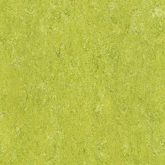 LIME GREEN - COLOUR SCAN