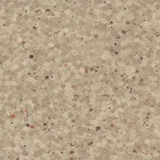 Chestnut - scanmobile