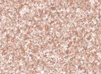 0225-Ginger-Mipolam-Action