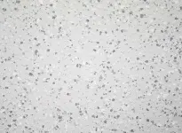 7720 Iceberg Small Opti