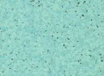 Jambolan - scanmobile