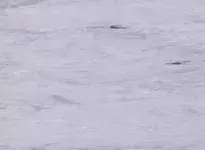 Mipolam-180_2029-opti