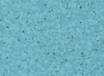 Bilberry - scanmobile