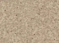 Chestnut - scanmobile