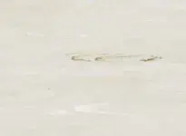 2005-SAND016-CI-opti